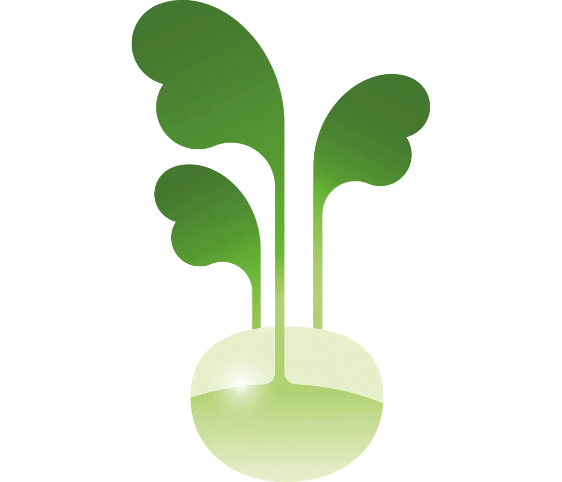 jamon-fiirabigmaert-kohlrabi.png