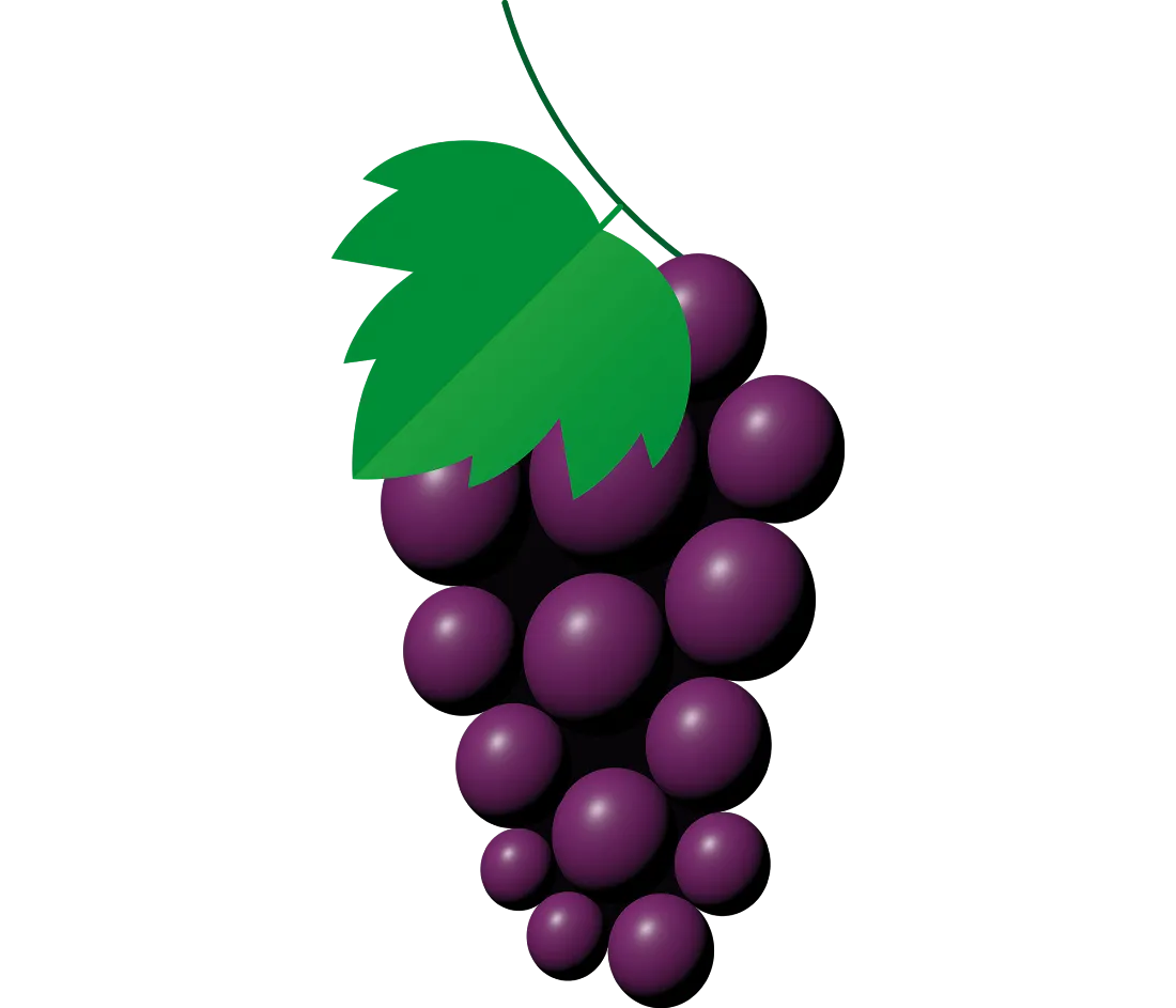 jamon-fiirabigmaert-traube.png