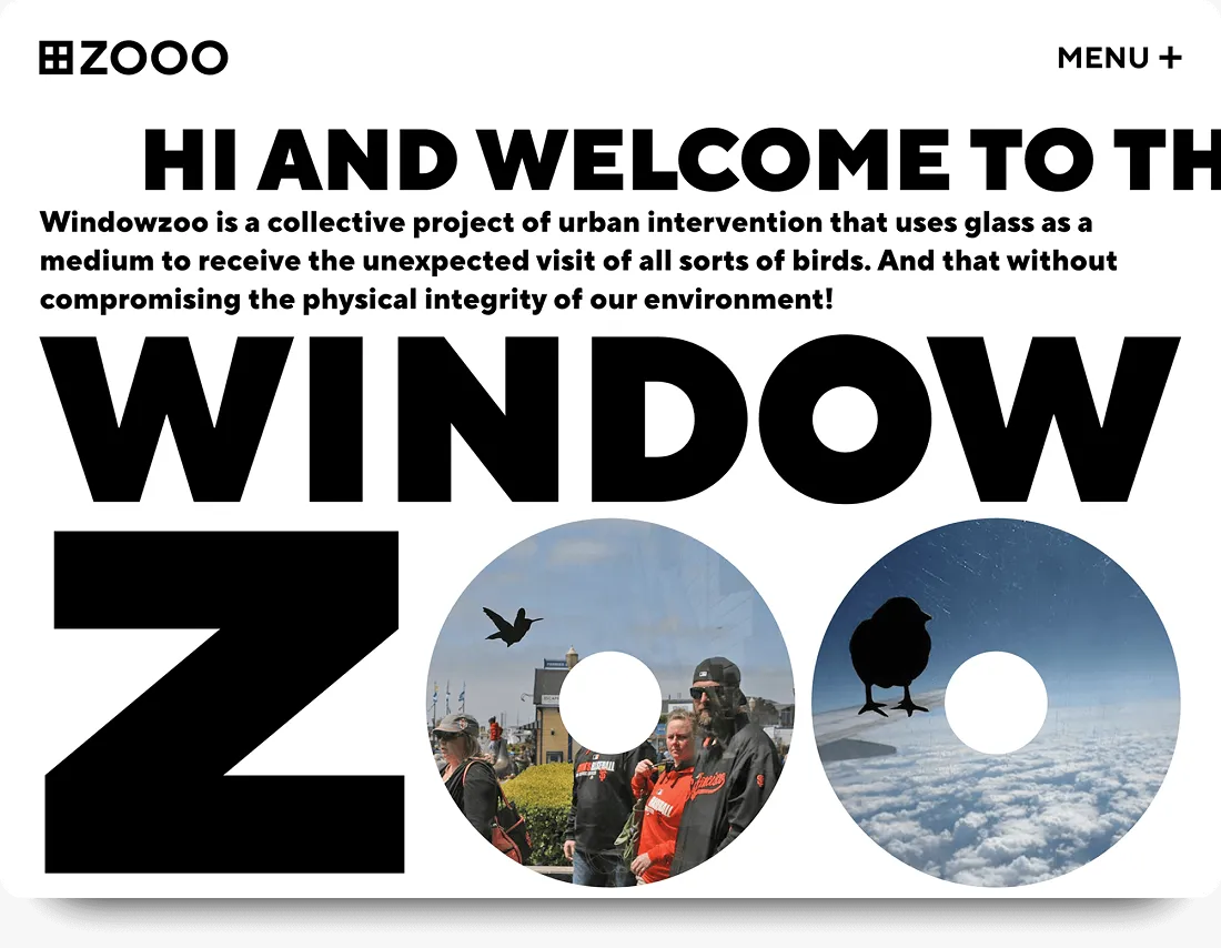 jamon-windowzoo-01.png